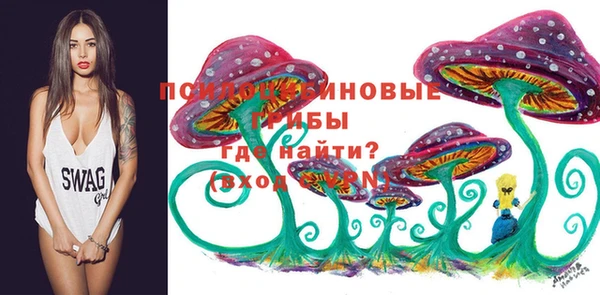MESCALINE Горняк
