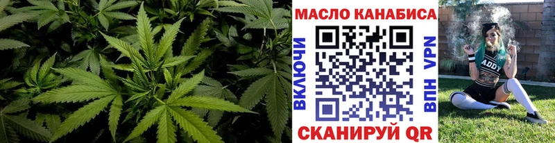 ТГК концентрат  Купить где  Пионерский 